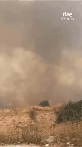  Murcia solicita la ayuda de la UME para luchar contra el incendio forestal en la pedan�a de Garres y Lages.