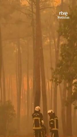  Francia se afana en tratar de extinguir una treintena de fuegos que mantienen en vilo a autoridades y poblaci�n especialmente en el suroeste, en la bah�a de Arcachon, donde las llamas han arrasado 4.000 hect�reas y obligado a evacuar a 110.000 personas.