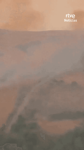 El incendio en la sierra norte de Guadalajara est� fuera de capacidad de extinci�n.