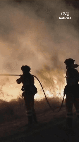  M�s de 500 efectivos llevan toda la noche luchando contra el incendio en Los Gallardos, Almer�a; entre ellos, la UME.