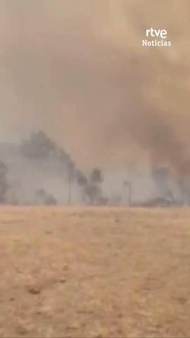  En la Sierra Norte de Guadalajara el fuego se mantiene fuera de toda capacidad de extinci�n tras haber devorado ya 26.000 hect�reas en un per�metro de 120 kil�metros que ya afecta a 28 localidades.