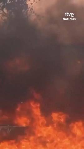 Revive el incendio de Castell�n, que sigue activo y sin control.