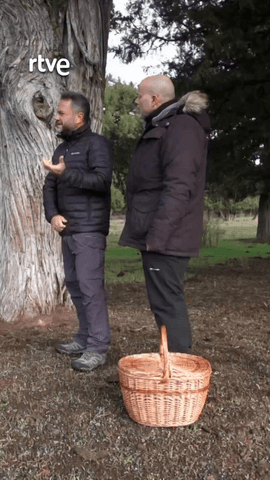  El buzo Carlos Simón acompaña a Vicente Sevilla a uno de los bosques de sabinas más densos y mejor conservados del planeta: el de Sabinar de Calatañazor (Soria).