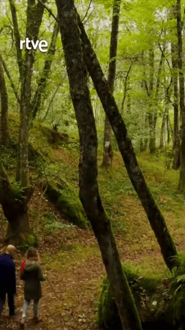La actriz gallega Marta Larralde (@lalarralde) es la encargada de acompañar a Vicente Sevilla por el bosque Dos Grobos.