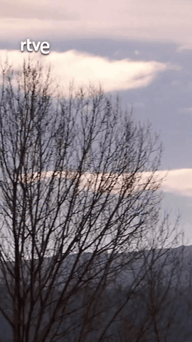  Con ‘Universo UNED’ ( @uneduniv ) hemos aprendido cómo las pinturas históricas ayudan a los geógrafos a conocer cómo se configuraban los territorios en el pasado.