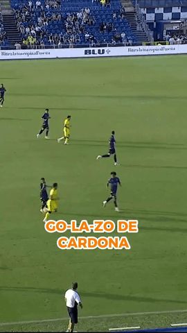  S�, hab�is visto bien... �Es un golazo!