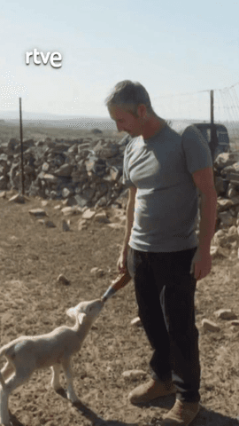  Desde Extremadura a la Laponia, grandes compañías mineras están haciendo ya los primeros estudios para explotar los suelos en busca de tierras raras.