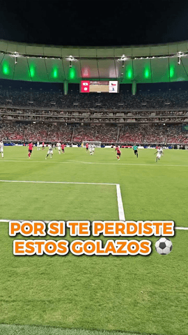 LOS GOLAZOS DEL MUNDIAL... COMO NUNCA LOS HAB�AS VISTO 