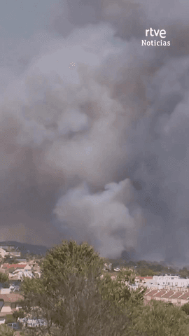  Los incendios forestales mantienen en alerta a varias zonas del centro de Espa�a.