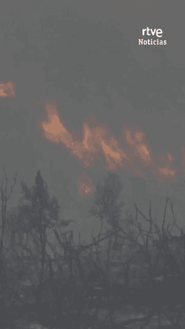 El incendio de la sierra norte de Guadalajara es ya el segundo m�s grande por superficie quemada desde que hay registros.