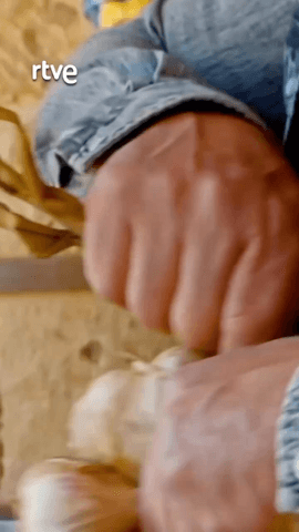 Gonzalo comienza su viaje gastronómico por Zamora en Jambrina y haciendo ristras de ajos, ingrediente fundamental de la cocina local.