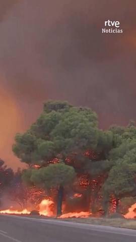 Los incendios afectan tambi�n a diferentes pa�ses de la Uni�n Europea.