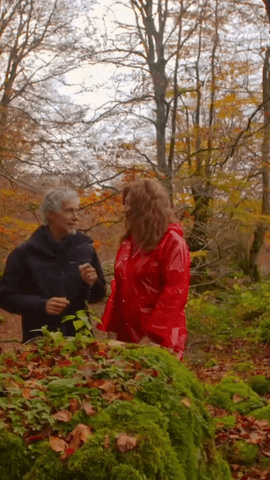 Qué secretos esconden los bosques españoles?