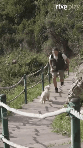 Hay una forma distinta de disfrutar del verano y de la naturaleza, y Juan (@frutos1997) y Migas lo tienen claro.