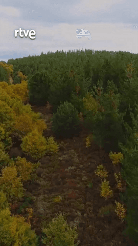 Rafa nos cuenta cómo pasó del bullicio de la ciudad a conectar con la naturaleza 