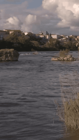España es el mejor país del mundo.