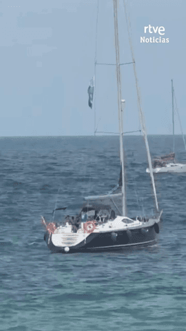 Las olas de calor marinas son cada vez m�s frecuentes, intensas y duraderas.