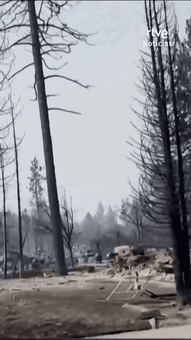  M�s de 60.000 personas han tenido que ser evacuadas en el estado de Washington por los incendios forestales que amenazan la ciudad de Spokane.
