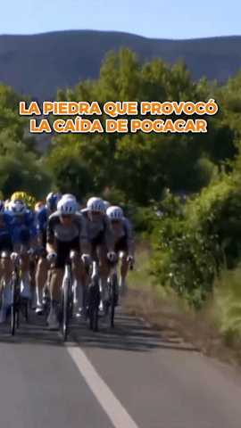 Una piedra en el camino truncó el de Tadej Pogacar.