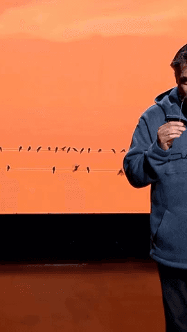 `El pájaro en el cable´