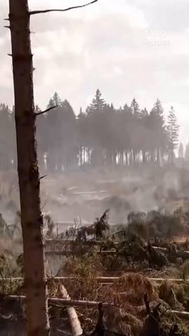  Los incendios forestales que asolan Europa han destapado otra amenaza: bombas de la Primera y Segunda Guerra Mundial escondidas bajo el paisaje quemado.