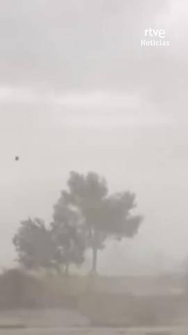Rachas de viento de hasta 150 km/h y reventones t�rmicos han dejado importantes da�os materiales en la Comunidad Valenciana.