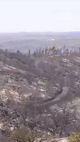 Controlado el incendio de Niebla, el Huelva, tras dos semanas y 33.000 hect�reas quemadas.