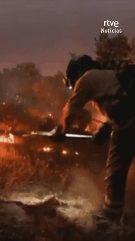 En Niebla, en Huelva, llevan m�s de una semana luchando contra el fuego.
