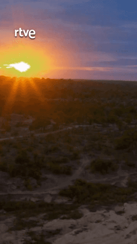  ‘Somos documentales’ se sumerge en el mundo oculto de 7 enigmáticos animales mientras se enfrentan a los desafíos de la supervivencia en el Parque Nacional Kruger de África.