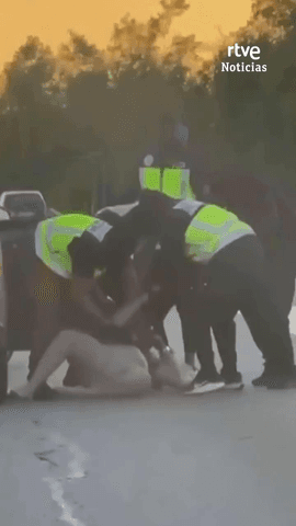  Los Mossos d'Esquadra investigan tres secuestros ocurridos en Catalu�a en apenas 15 d�as.