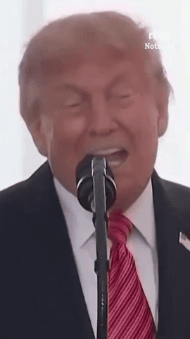  Donald Trump ha dicho, desde Dubl�n, que la reunificaci�n de Irlanda le parecer�a algo 