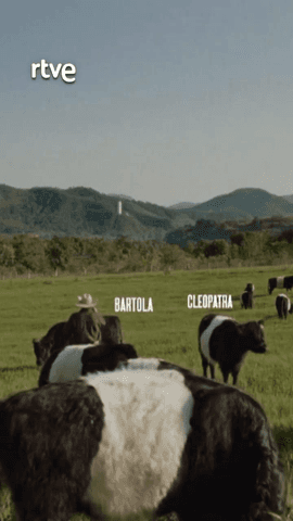  ¿Qué nos cuenta la publicidad sobre el mundo en el que vivimos?