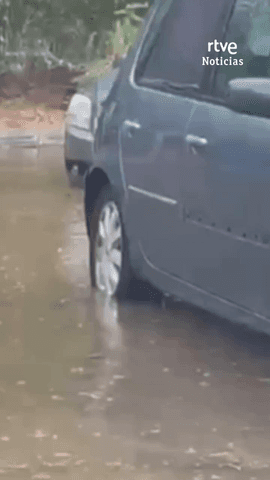 Es la tromba de agua que ha ca�do esta tarde en Palma de Mallorca.