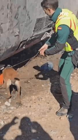 El de hoy puede ser uno de los accidentes ferroviarios m�s graves de nuestro pa�s y es imposible que no nos traiga a la cabeza el de Adamuz, hace solo nueve meses, en el que murieron 46 personas.