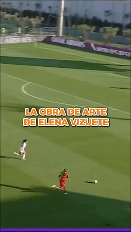  Esto no es un gol, ES UNA OBRA DE ARTE