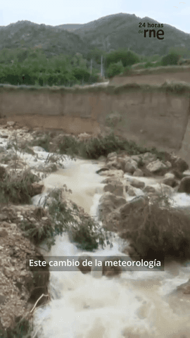Ante los efectos de la #danaAdam, analizamos en #24HorasRNE con el catedrático de Geografía Física de la Universidad de Barcelona, Javier Martín Vide, la virulencia cada vez mayor de estos episodios