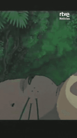 El Studio Ghibli recibe este a�o el Premio Princesa de Asturias de Comunicaci�n y Humanidades.