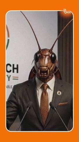 #YaTDigo El Gobierno indio de Narendra Modi tiene un problema de bichos.