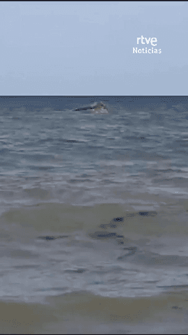  Al menos 139 personsa han muerto, entre ellos 15 ni�os, tras volcar un barco frente a la costa de Yibuti.