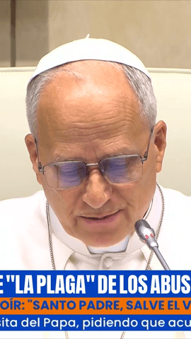 El Papa habla sobre la 