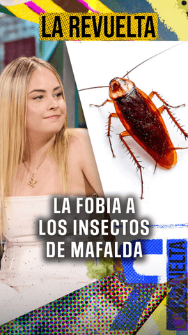  Me sale una cucaracha en la cama y quemo el colchón esa misma noche
