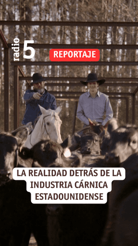 La Secretaria de Agricultura de la Administración Trump, Brook Rollins, comparte habitualmente videos publicitarios de familias granjeras blancas en amplios ranchos al aire libre.