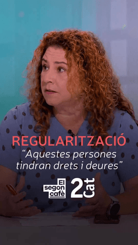  Recta final del proc�s de regularitzaci�.