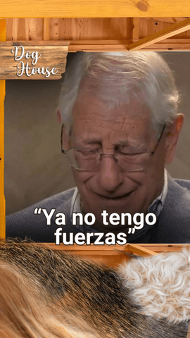 La historia de César y Curro nos ha roto el corazón 