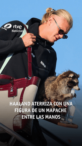 As� ha bajado del avi�n Erling Haaland en Oslo: con una figura de un mapache entre las manos.