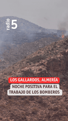Incendio en Los Gallardos | La noche ha sido positiva para el trabajo de los bomberos, sin nuevas evacuaciones ni avance en la línea de fuego