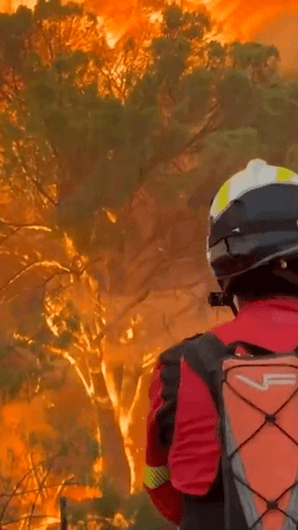  3 incendios que forman un solo frente, el peor de la historia de la Comunidad de Madrid.