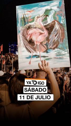 #YaTDigo Albania contra la familia Trump.