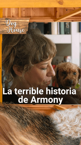 “Naces en una jaula.