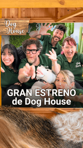 Este martes 21 de julio tenéis una cita con nosotros: el GRAN ESTRENO de Dog House con chenoa 